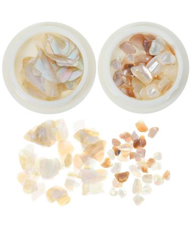FRCOLOR 2 Boxes Nail Shell Decoration Nail Charms Christmas Charms for Nails Nail Decor Mariposas Decorativas Para Pared Christmas Decor Nail Art Small Gems Decorations Miss Manicure