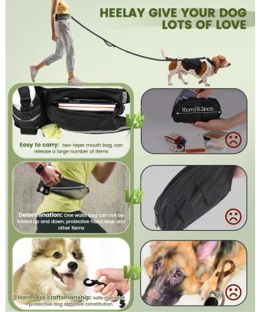 Premium Dog Jogging Lines & Heelay Belt - Reflective Leash for Large & Small Dogs - Comfortable Dual Handle Design in Army Green - Buy Online on GoSupps.com