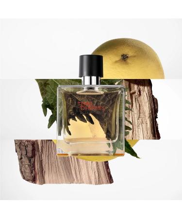 Terre D'Hermes By Hermes Eau De Toilette Spray 6.7 Oz Men - Buy Online on GoSupps.com