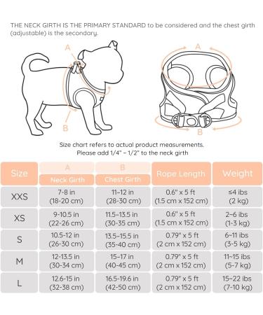 BELLA & PAL Hundegeschirr f r Kleine Hunde - Atmungsaktives Anti-Zug Step-in Geschirr mit Leine Reflektierend & bequem Pfirsich S (35-40cm Brustumfang) - Buy Online on GoSupps.com