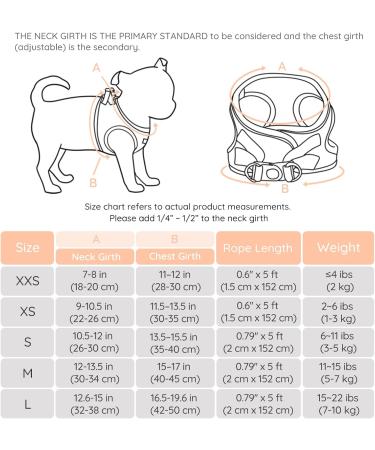 Buy Bella & Pal Dog Harness for Small Dogs - Reflective Breathable Air Mesh with Leash - Perfect for Puppies & Cats - Peach Color - 40-45cm - Buy Online on GoSupps.com