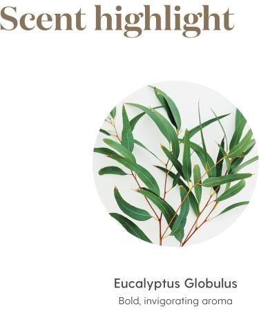 Young Living Eucalyptus Globulus Essential Oil 15ml - Pure Aromatherapy for Respiratory Health & Natural Well-Being - Breathe Easy & Refresh Your Senses - Buy Online on GoSupps.com