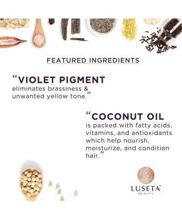 Luseta Purple Conditioner for Colored Hair 16.9oz - Best Purple Conditioner for Grey, Blonde, Dry & Damaged Hair - Sulfate & Paraben Free - 16.9 Fl Oz - Buy Online on GoSupps.com