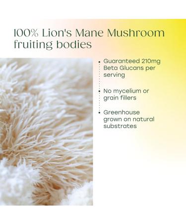 MegaFood Superfood Mushroom Focus Support - Lions Mane Supplement Capsules - Doctor Formulated Lion s Mane Mushroom Supplement with Clinically Studied Bacopa - Vegan - 60 Capsules 30 Servings - Buy Online on GoSupps.com
