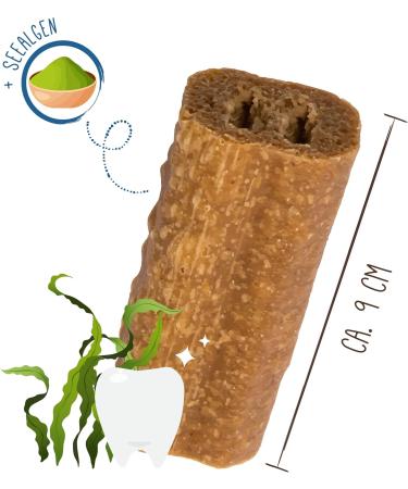 Sammy's Tooth Fairy | Giant Chewing Bar for Dogs | 60g - Supports Tooth Cleaning | International Shipping Available - Buy Online on GoSupps.com