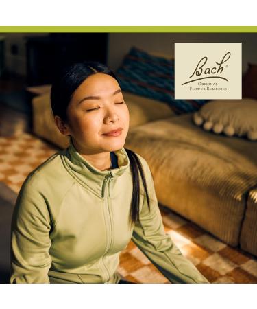 Bach Original Flower Remedies White Chestnut - Calm The Mind - Natural Homeopathic Flower Essence for Emotional Balance - Vegan Gluten Free Sugar Free - 20mL Dropper - Buy Online on GoSupps.com