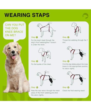 Dog Knee Brace for Torn ACL Hind Leg and Luxating Patella Dog Leg Brace with Metal Hinged Support for Better Support and Recovery Both Leg Hind Leg Luxating Patella Dysplasia Arthritis Joint Pain(Lar Large - Buy Online on GoSupps.com