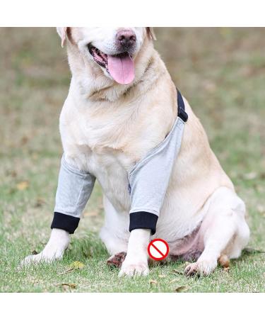 Dog Leg Brace Elbow Brace Protector Pads for Small Dogs and Cats Support Elbow Hygroma Shoulder Dysplasia Osteoarthritis and Shoulder Dislocation(S) - Buy Online on GoSupps.com
