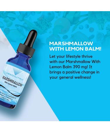 Absonutrix Marshmallow with Lemon Balm 390 mg 4 Oz Liquid 302 Servings Made in USA Quick Absorption Quality Potent Ingredients Non-GMO GMP Certified Marshmallow Liquid Extract - Buy Online on GoSupps.com
