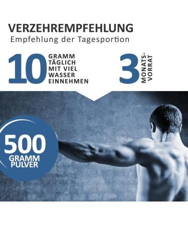 Premium BCAA & L-Glutamine 500g Powder | 100% Pure Amino Acids | Vegan No Artificial Flavors | Made in Germany - Buy Online on GoSupps.com