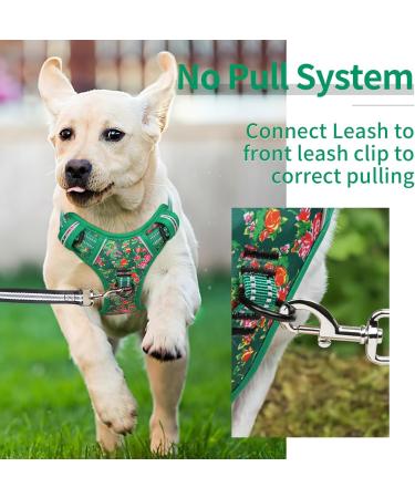 Premium Heele Dog Crockery & Adjustable Reflective Harness for Medium Dogs - Comfortable Padded Design in Flower Grass Green - Buy Online on GoSupps.com