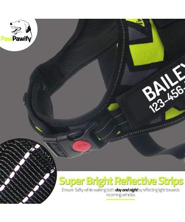 Pawpawify Personalized Dog Harness for Pulling - Choke-Free Durable Training & Walking - Fits L 28-38in Green Doodles - Buy Online on GoSupps.com