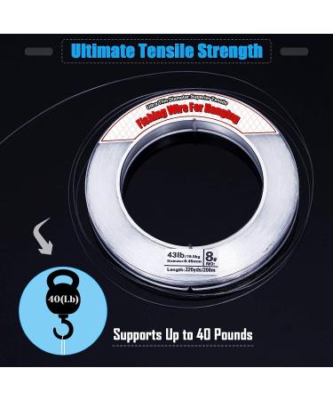 Clear Fishing Wire Acejoz 656FT | Strong Nylon String for Balloon Garland | 0.45mm, 40lb Capacity - Buy Online on GoSupps.com