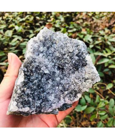 Natural Quartz Crystal Natural Clear and Purple Quartz Crystal Amethyst Cluster Specimen Stone 60G-500G Home Office Decor (Color : 86g-115g 1pc) - Buy Online on GoSupps.com