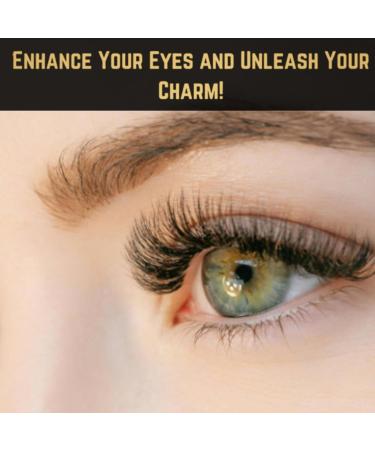 Shop Gabeena Fake Eyelash Extension Kit - Reusable Waterproof False Eyelashes with Glue Applicator & Brush - Perfect for Beginners - Buy Online on GoSupps.com