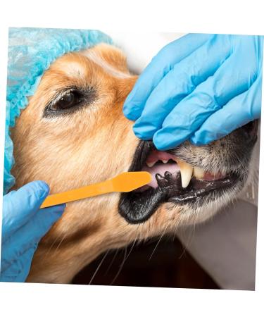 NOLITOY 20 pcs Oral Supplies for Dual-head Teeth Cleaning Pets Small Handheld Puppy Brush Pet Dog - Buy Online on GoSupps.com