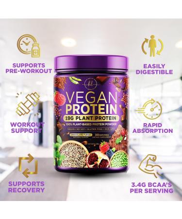 Vegan Protein Powder - Chocolate Fudge | 100% Plant-Based 3.4g BCAAs Non-GMO Easy Digesting 2 lbs (30 Servings - Buy Online on GoSupps.com