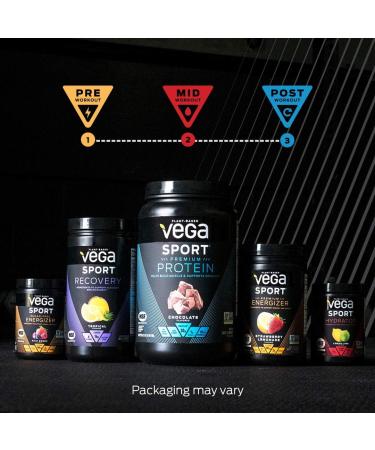 Vega Sport Performance Protein Powder - Berry Flavor (28.3 oz) | Plant-Based Energy Boost - Buy Online on GoSupps.com
