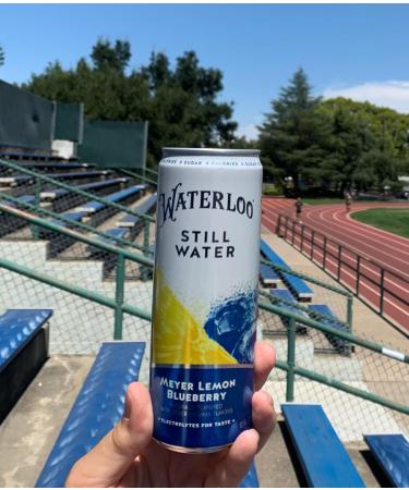 Shop Waterloo Still Water - Meyer Lemon Blueberry | Zero Calories Sugar & Sodium | 12 Fl Oz Cans (Pack of 12) - International Shipping Available - Buy Online on GoSupps.com