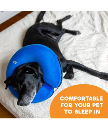 BENCMATE Inflatable Recovery Collar for Dogs & Cats - Medium Blue, Neck 8-12 - Soft Pet Cone that Doesn't Block Vision - Buy Online on GoSupps.com