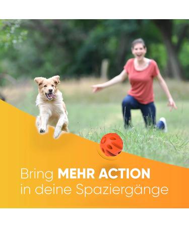 Shop Enero Dog Whistle Reliable Dog Training High Frequency Far-Reaching Volume + Bonus Dog Ball Set - Buy Online on GoSupps.com