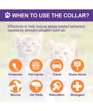 4 Pcs Lavender Scent Calming Cat Collar Set | Adjustable & Relaxing for Cats and Puppies | Reduce Stress & Anxiety | Up to 15 Inches | Purple & Gold - Buy Online on GoSupps.com