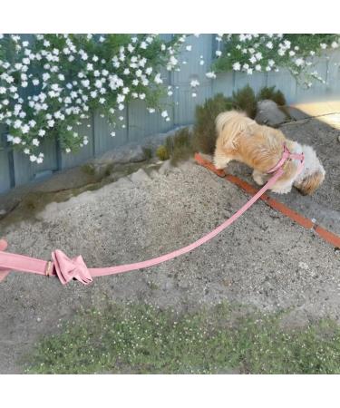 Premium H-Shaped Dog Harness - Velvet & Multi-Position Leash - Small Medium & Large - Stylish Pink (L) - Buy Online on GoSupps.com