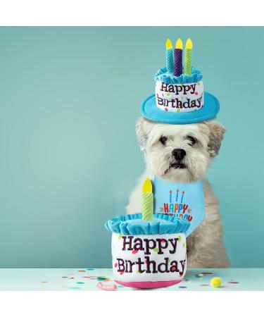 Ushang Pet Birthday Party Set - Blue Cat Happy Birthday Hat with Candles & Bandana Scarfs | Cat Birthday Supplies & Decorations - Buy Online on GoSupps.com