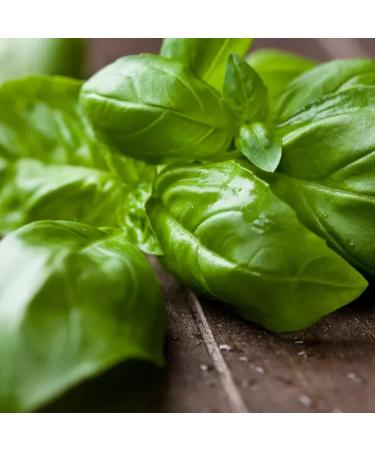  NCA 100% Natural Dried Basil Leaves Grated Dried Basil Kitchen Pesto Herbal Tea Infusion NCA (50) - Buy Online on GoSupps.com