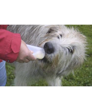 Buy Origin Outdoors Squeeze Tubes (200ml 2-Pack) - Ideal for Travel & Outdoor Activities | Fast International Shipping - Buy Online on GoSupps.com