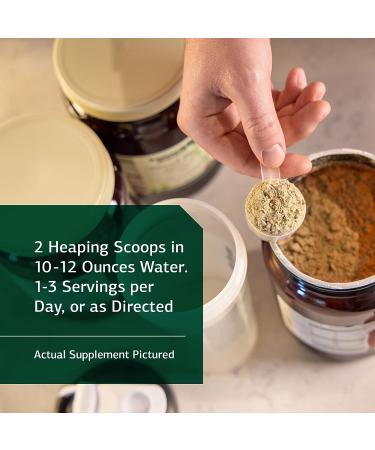 Standard Process SP Detox Balance Chai - Gluten-Free 28-Day Cleanse Kit with Essential Nutrients - Buy Online on GoSupps.com