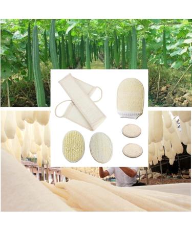 ENLAYER 6 Pack Natural Loofah Exfoliating Back Scrubber and Pad Set - Deep Cleaning Shower Sponge for Face and Body - Buy Online on GoSupps.com