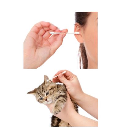 800 Pcs Double Tipped Cotton Swabs - Hygienic & Highly Absorbent - Buy Online on GoSupps.com