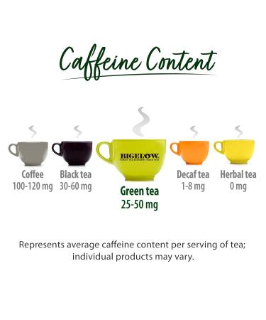 Bigelow Tea Green Tea Elderberry plus Vitamin C Caffeinated 18 Total Tea Bags (Pack of 1) - Buy Online on GoSupps.com