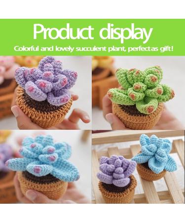 FECLOUD Crochet Knitting Kit for Beginners - Succulent Theme - Step-by-Step Video Tutorials Included - Buy Online on GoSupps.com