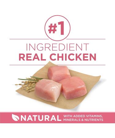 Purina ONE +Plus Dry Dog Food Digestive Health with Chicken - 9.5 kg Bag 9.5 kg (Pack of 1) - Buy Online on GoSupps.com