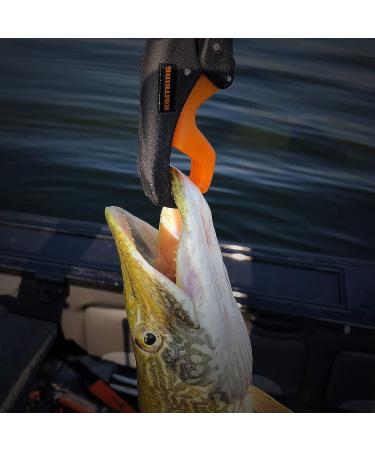 KastKing Fish Scale w/ Floating Lip Gripper 110 LBs/50 Kg Dual Mode - Water Resistant, Lightweight ABS Frame, Non-Slip Handle, 38 Tape Measure - Combo - Buy Online on GoSupps.com