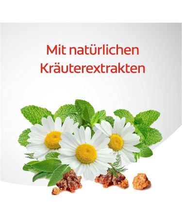 Dentagard Toothpaste Original 75ml - Plaque Removal Gum Strengthening & Caries Protection with Herbal Extracts - Buy Online on GoSupps.com