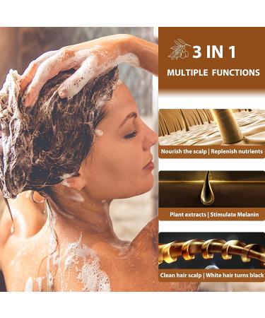 3-in-1 Natural Black Hair Dye Shampoo | Cover Greys | Permanent Color - Ammonia Free | Herbal Formula | 400ml (Black) - Buy Online on GoSupps.com