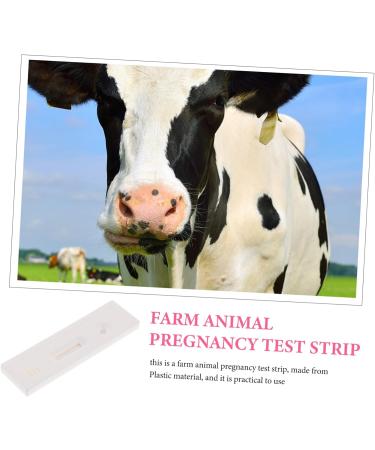 Partykindom T-Tool: 1 Stk Pregnancy Tester for Cattle - Early Detection Test Stick & Paper Tool | Reliable Animal Supply - Buy Online on GoSupps.com