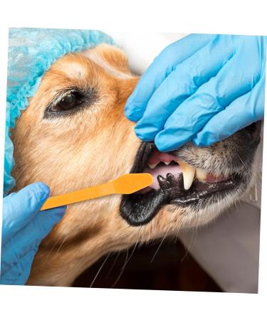 BESPORTBLE 2sets Pet Toothbrush Cat Toothpaste Dog Oral Cleaning Toothbrush Toothpaste for Dogs Puppy 10pcs*2 - Buy Online on GoSupps.com