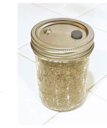 BRF PF Tek Brown Rice Flour Mushroom Substrate - 1/2 Pint Jar - Buy Online on GoSupps.com