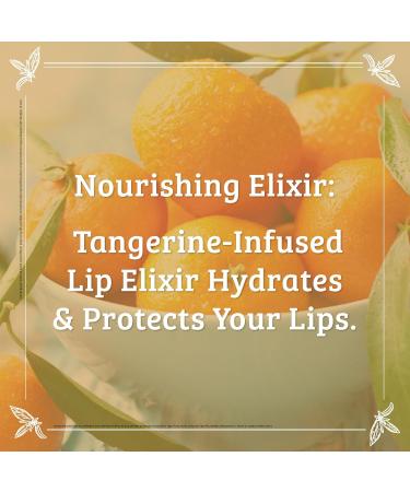 Pharmacopia Chamomile Tangerine Vegan Lip Elixir - Nourishing Vegan Herbal Lip Balm with 100% Natural and 70% Certified Organic Ingredients 0.25 Oz Pack of 3 - Buy Online on GoSupps.com