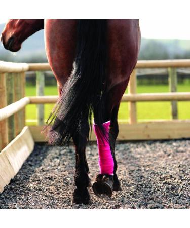 Cohesive Bandage - 12 Rolls 10cm x 4.5m | First Aid Sports Wrap & COBOX Pet Vet Wrap - Self Adherent Ideal for Pets & Athletes - Buy Online on GoSupps.com