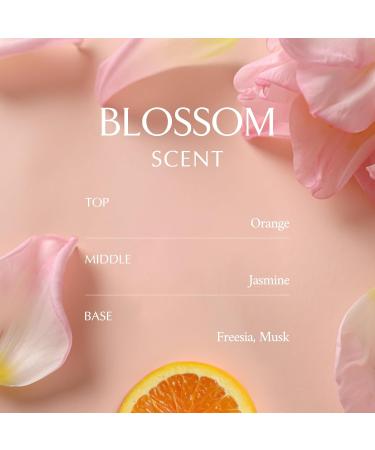 LA MUSE Body Care DUO: Perfume Recovery Body Cream(Blossom 10.14fl oz) & Body Cleanser(6.76 fl oz) Best Korean Skin Care Body Care Set - Buy Online on GoSupps.com