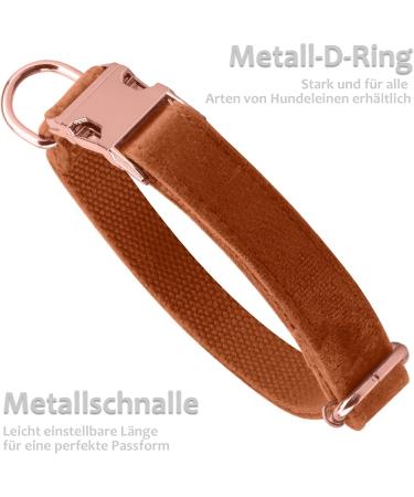 Asvin Velvety Dog Collar with Removable Fly - Soft Comfortable & Multicolored - Perfect for Weddings Birthdays & Parties | International Shipping - Buy Online on GoSupps.com