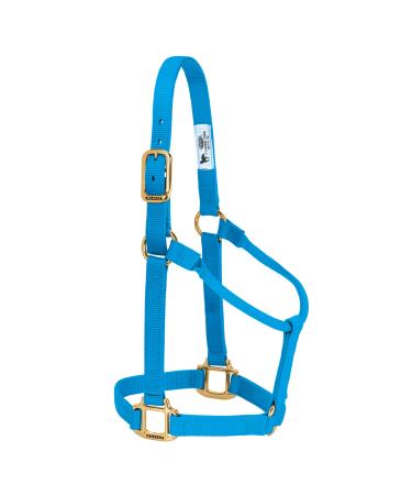 WEAVER Leather Non-adjustable halter Hurricane blue Average Horse/ yearling Draft