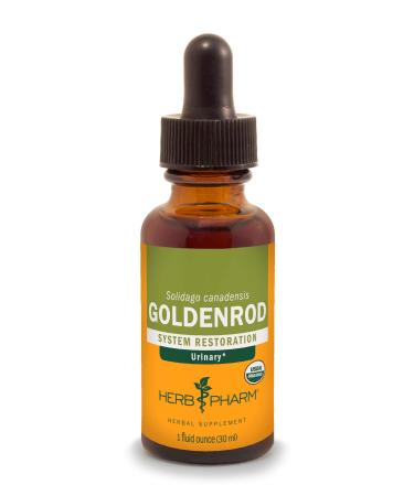 Herb Pharm Certified Organic Goldenrod Liquid Extract for Urinary System Support, 1 Fl Oz (Pack of 1)