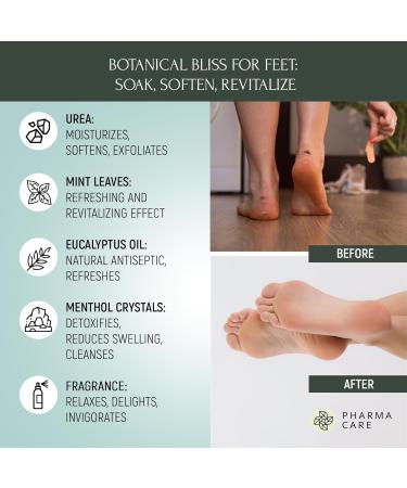 Sel de Bain Pieds Vis Plantis Menthe & Menthol 560 g Bain Rafra chissant Exfoliant & Apaisant Peaux Dures Pieds Fatigu s & Muscles Endoloris R duit la Transpiration - Buy Online on GoSupps.com