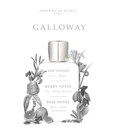 Parfums de Marly Galloway Eau de Parfum Parfum for Men 4.2 Fl Oz - Buy Online on GoSupps.com